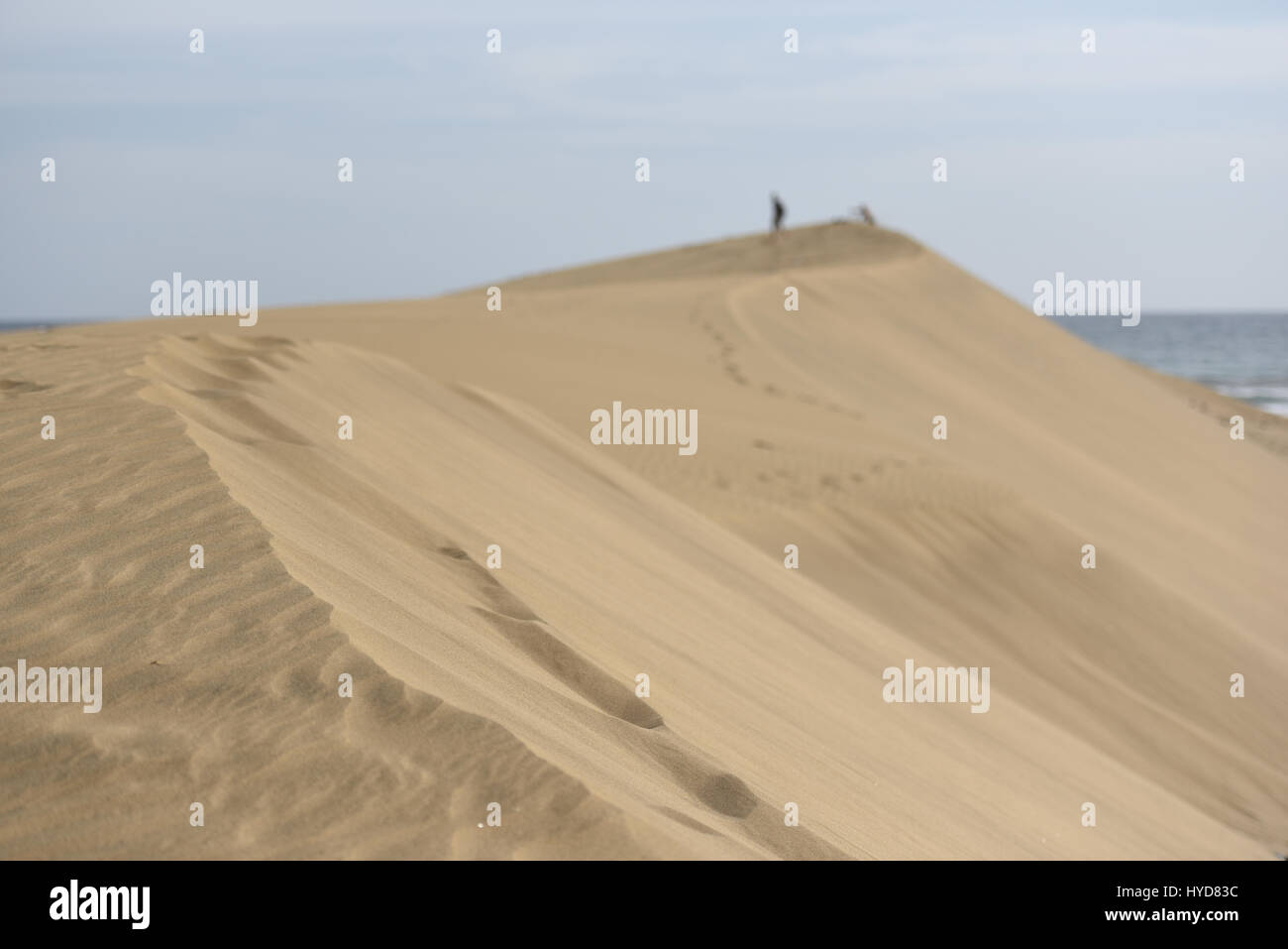 People walking to sand dunes Stock Photo - Alamy