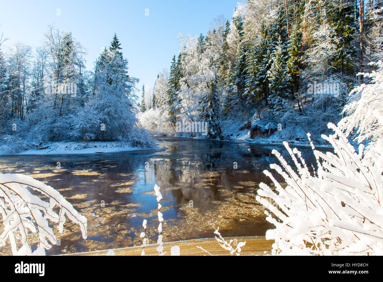 snowy winter river landscape with snow covered trees and blue sky Stock ...