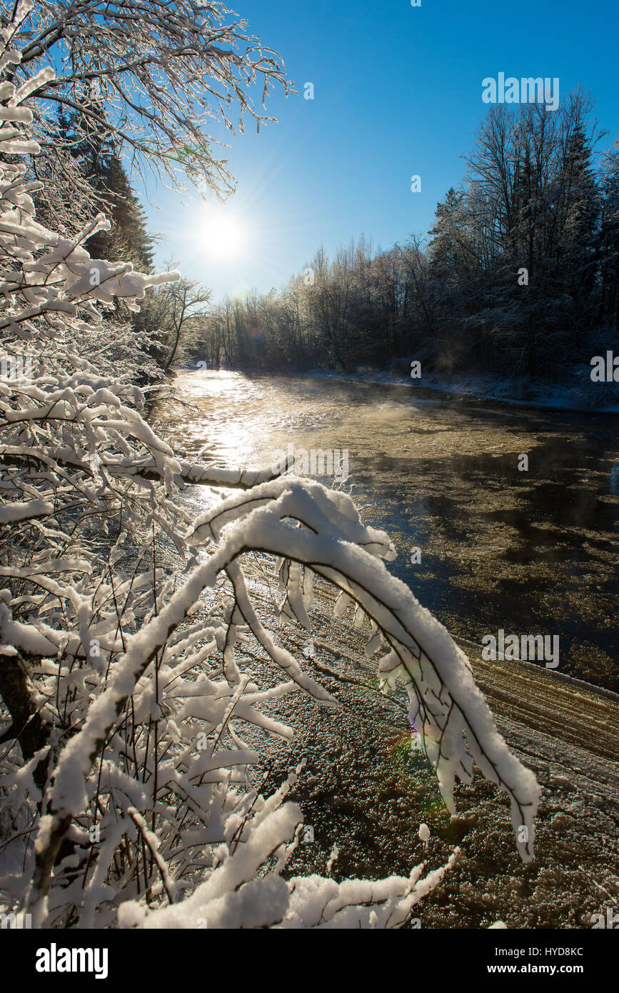snowy winter river landscape with snow covered trees and blue sky Stock ...