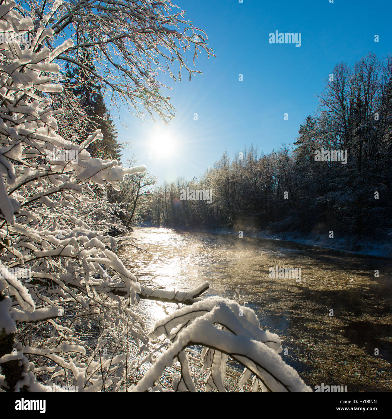 snowy winter river landscape with snow covered trees and blue sky Stock ...