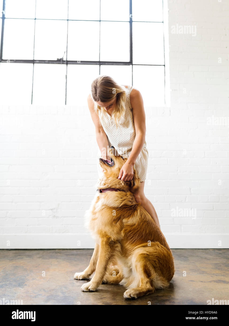 Woman playing with golden retriever hi-res stock photography and images ...