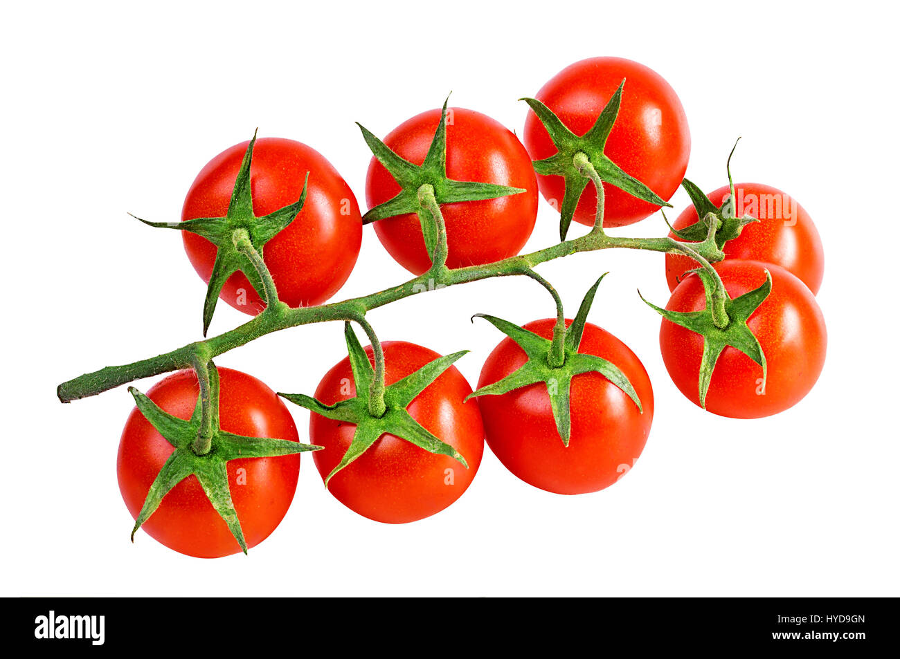 Cherry tomatoes isolated on a white background Stock Photo - Alamy