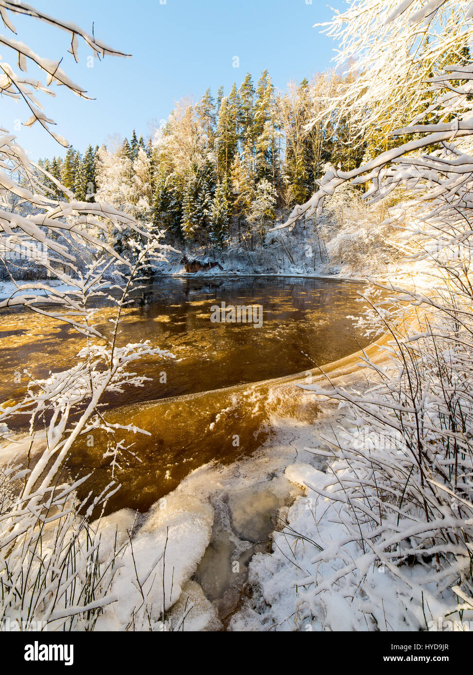 snowy winter river landscape with snow covered trees and blue sky Stock ...