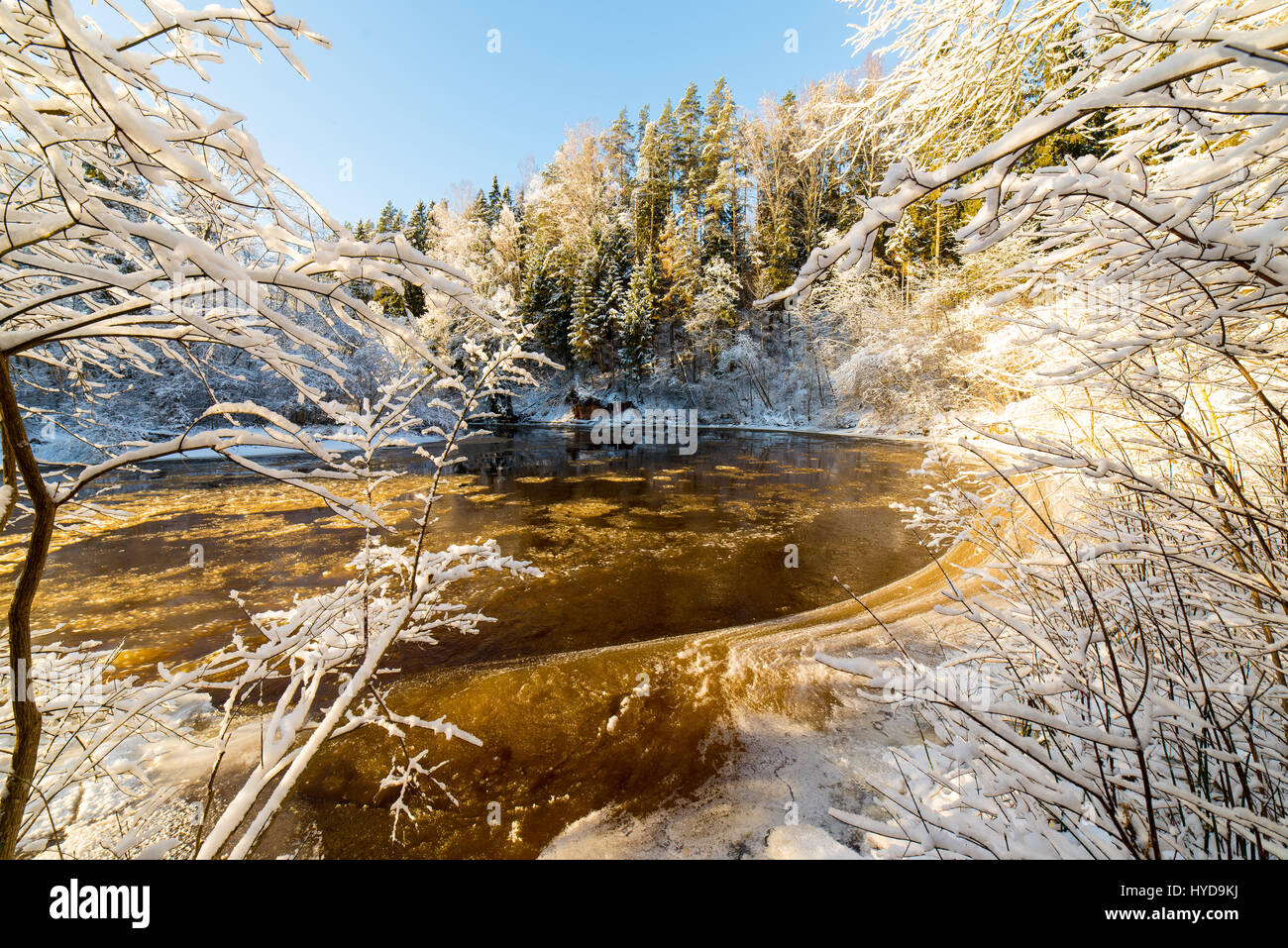 snowy winter river landscape with snow covered trees and blue sky Stock ...