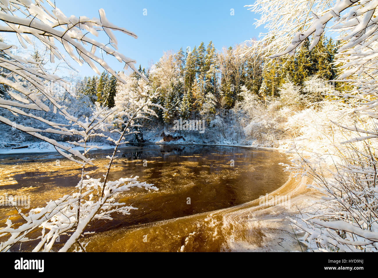 snowy winter river landscape with snow covered trees and blue sky Stock ...
