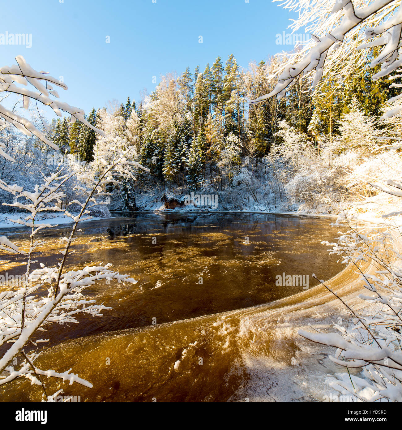 snowy winter river landscape with snow covered trees and blue sky Stock ...