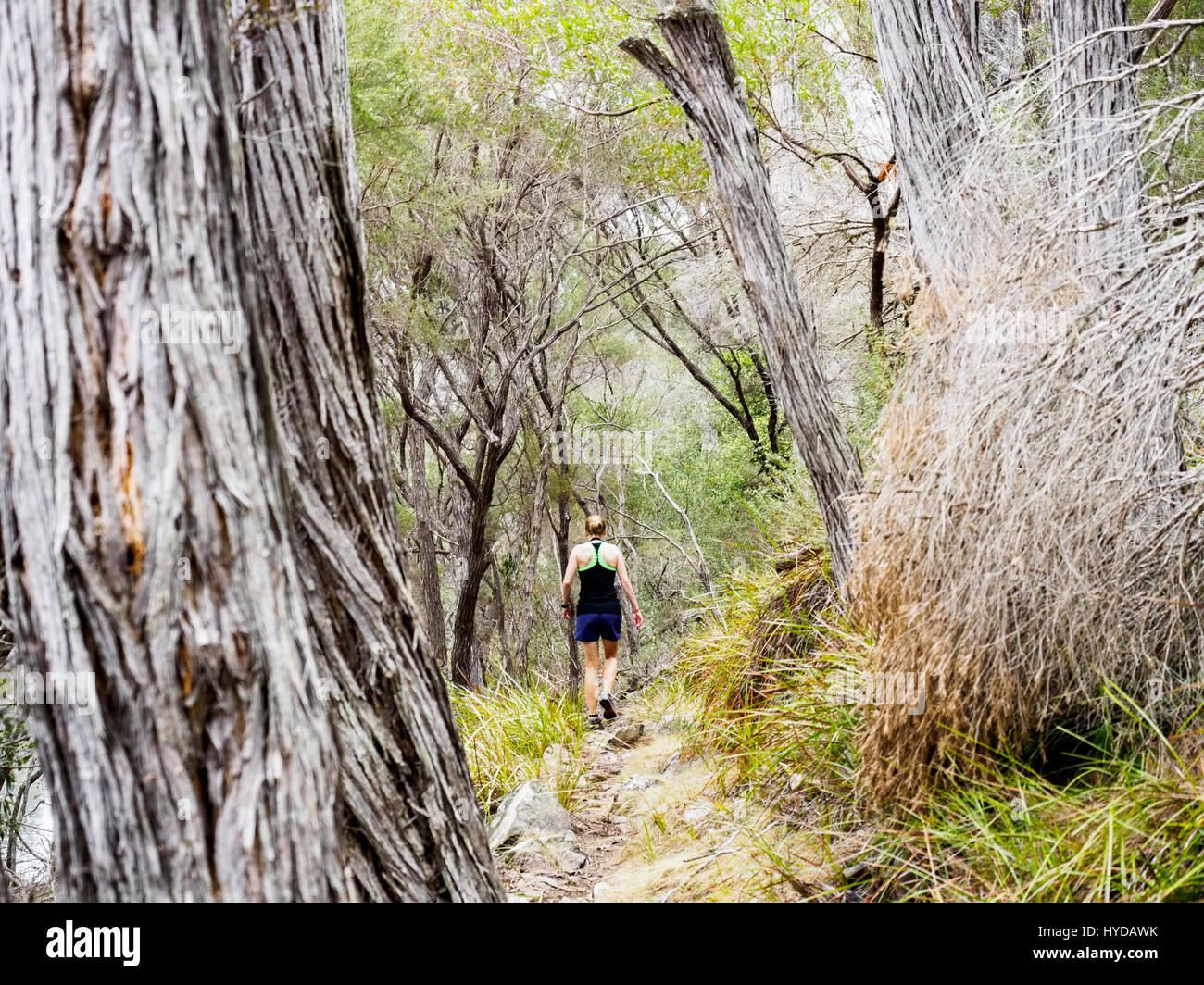 Mature woman walking forest hi-res stock photography and images - Alamy