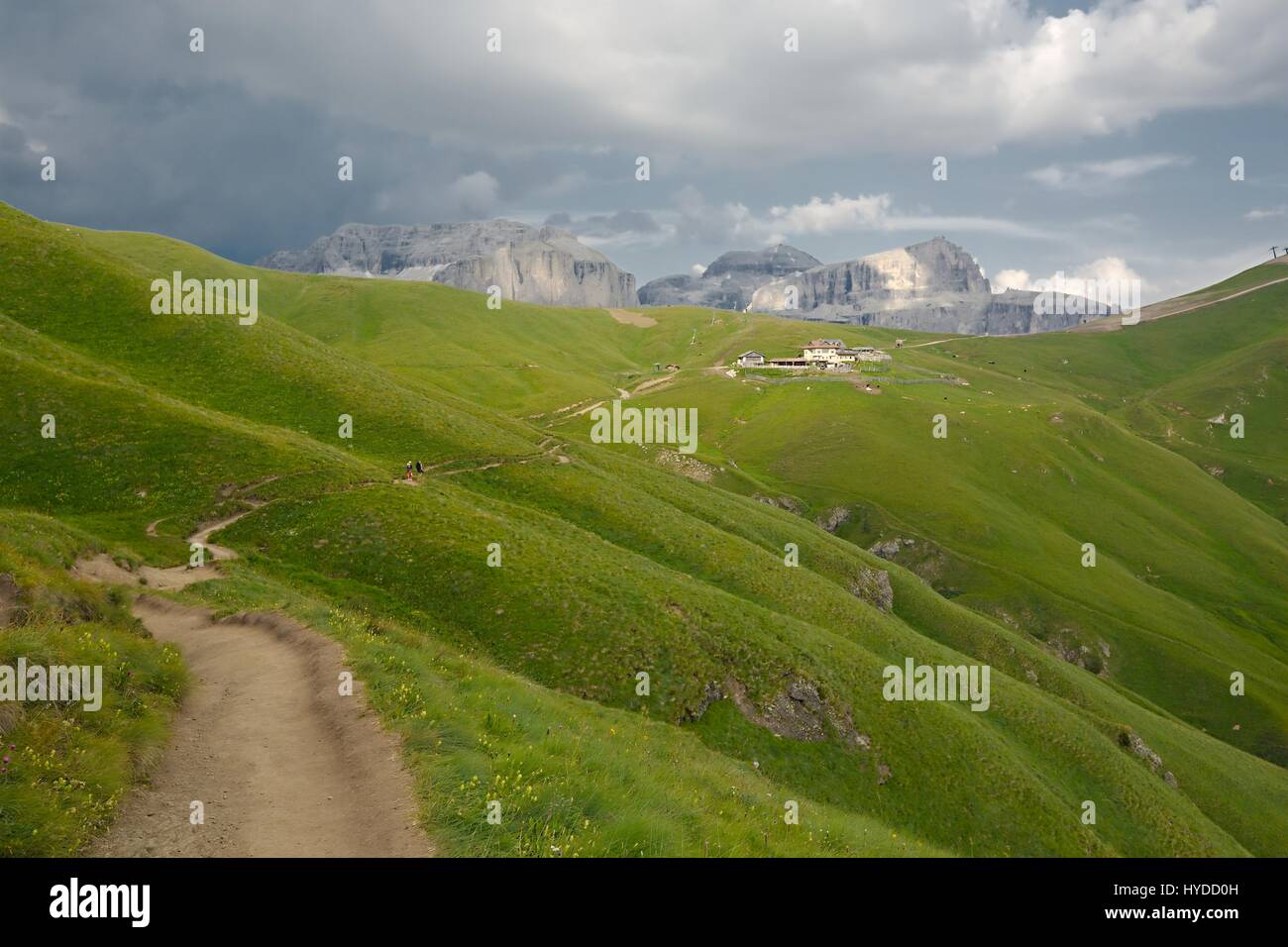 Summer landscape high grass hi-res stock photography and images - Alamy