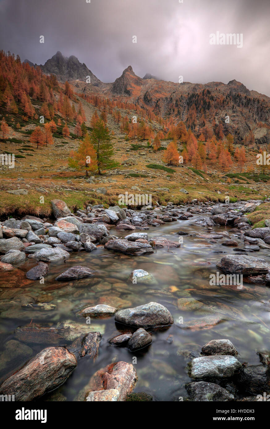 This is Pian della Casa del Re (literally, King House's Plain), a beautiful plateau at almost 2000m (6000 ft) in the heart of the Alpi Marittime Natur Stock Photo