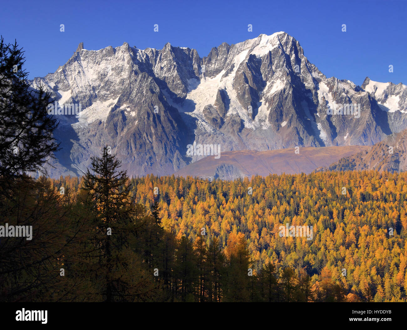 A view of the majestic northeastern portion of the Monte Bianco/Mont Blanc - from Dente del Gigante/Dent du Geant to Les Grandes Jorasses, with the fi Stock Photo