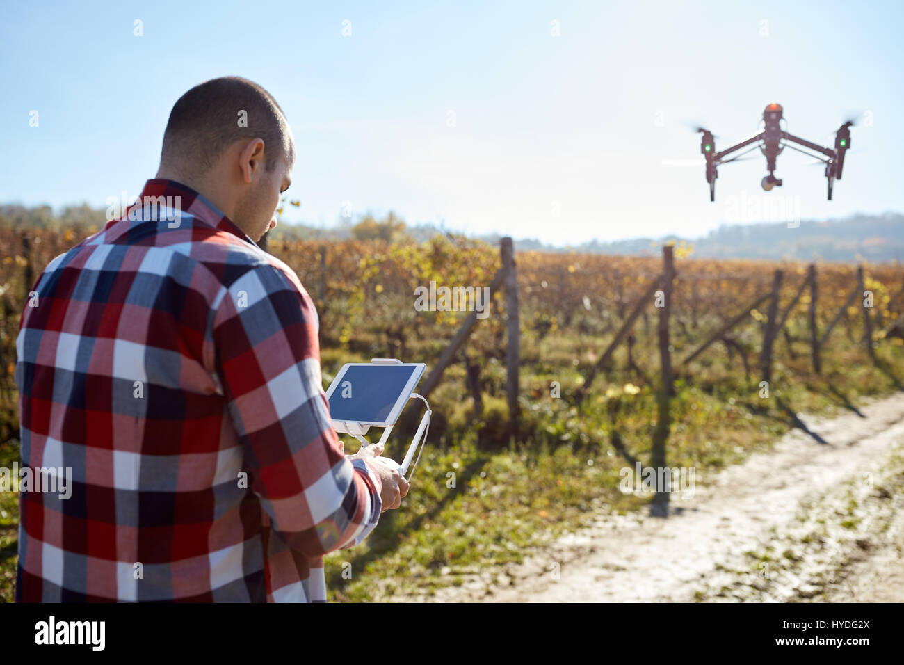 Man remote control flying drone over vineyard Stock Photo