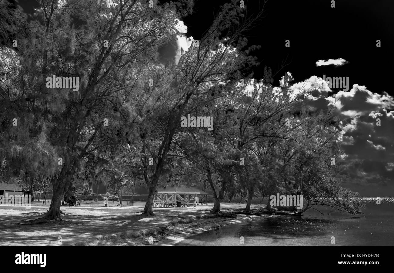 Water Cay Beach with his playground and hut in the Caribbean, Grand