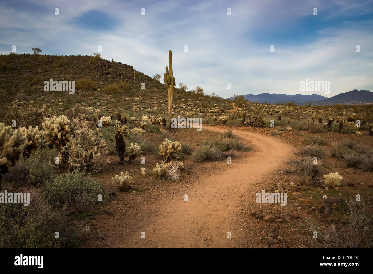 Sonoran preserve arizona hires stock photography and images Alamy