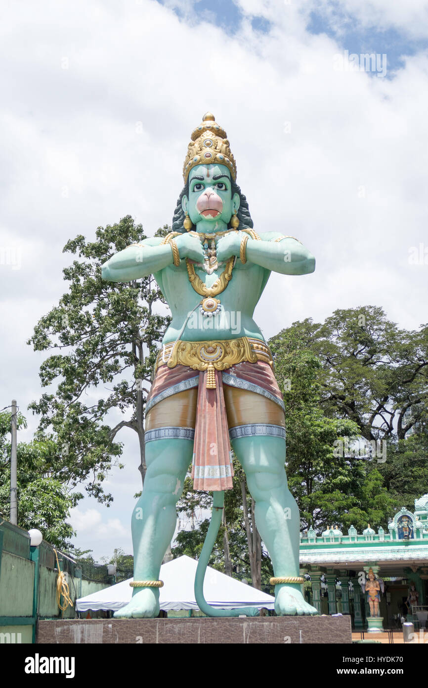 Hanuman monkey hires stock photography and images Alamy