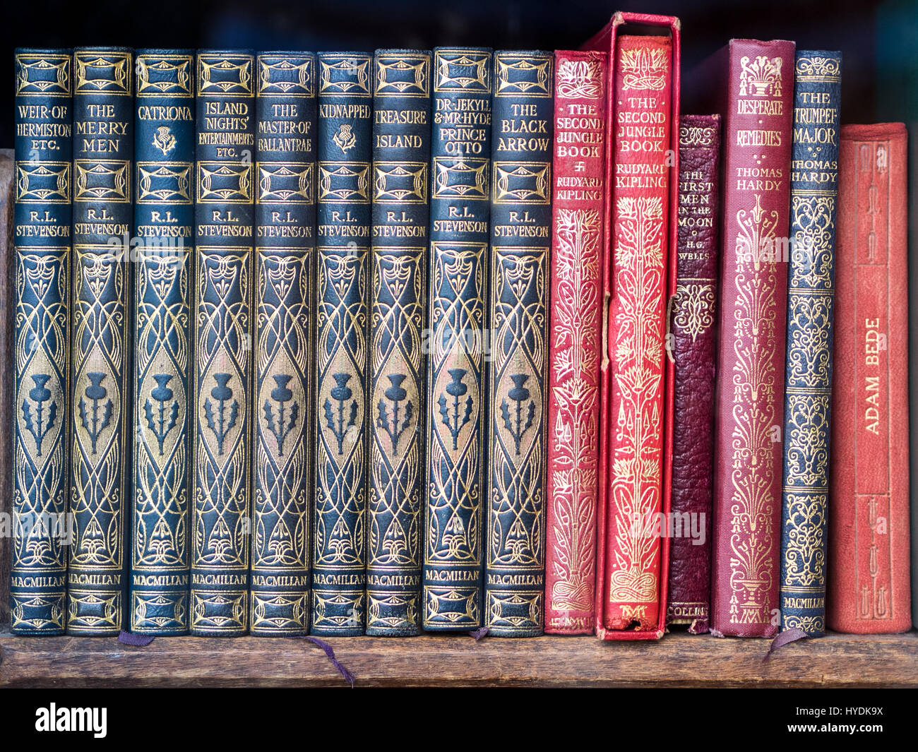 Assorted classic novels by RL Stevenson, Kipling, HG Wells, Thomas Hardy and George Eliot, Stock Photo