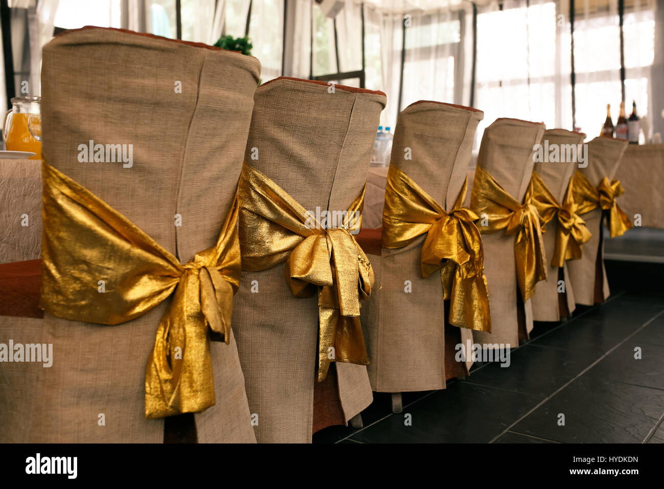 Wedding chair decoration. Beige covers and gold bows on the backs of chairs. Horizontal photo Stock Photo