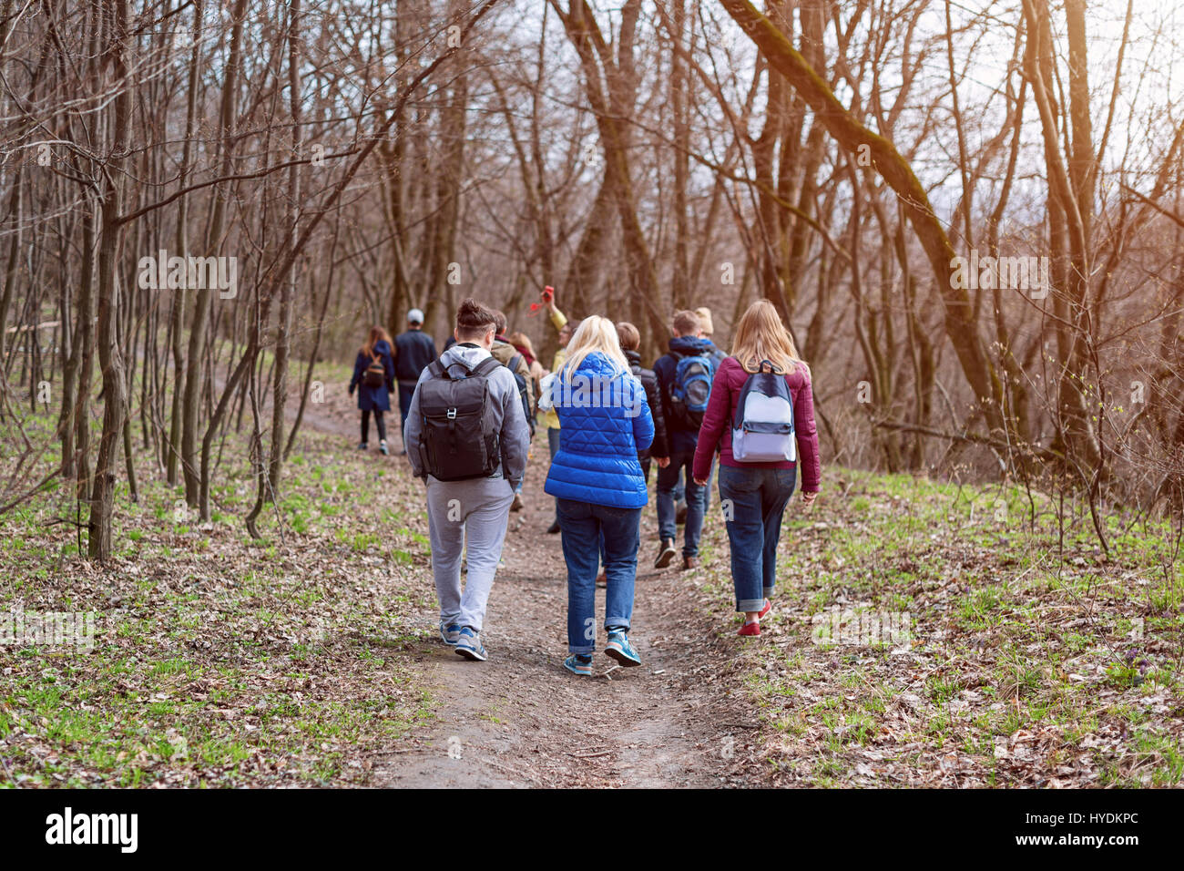 Group of friends walking with backpacks in spring forest from back ...