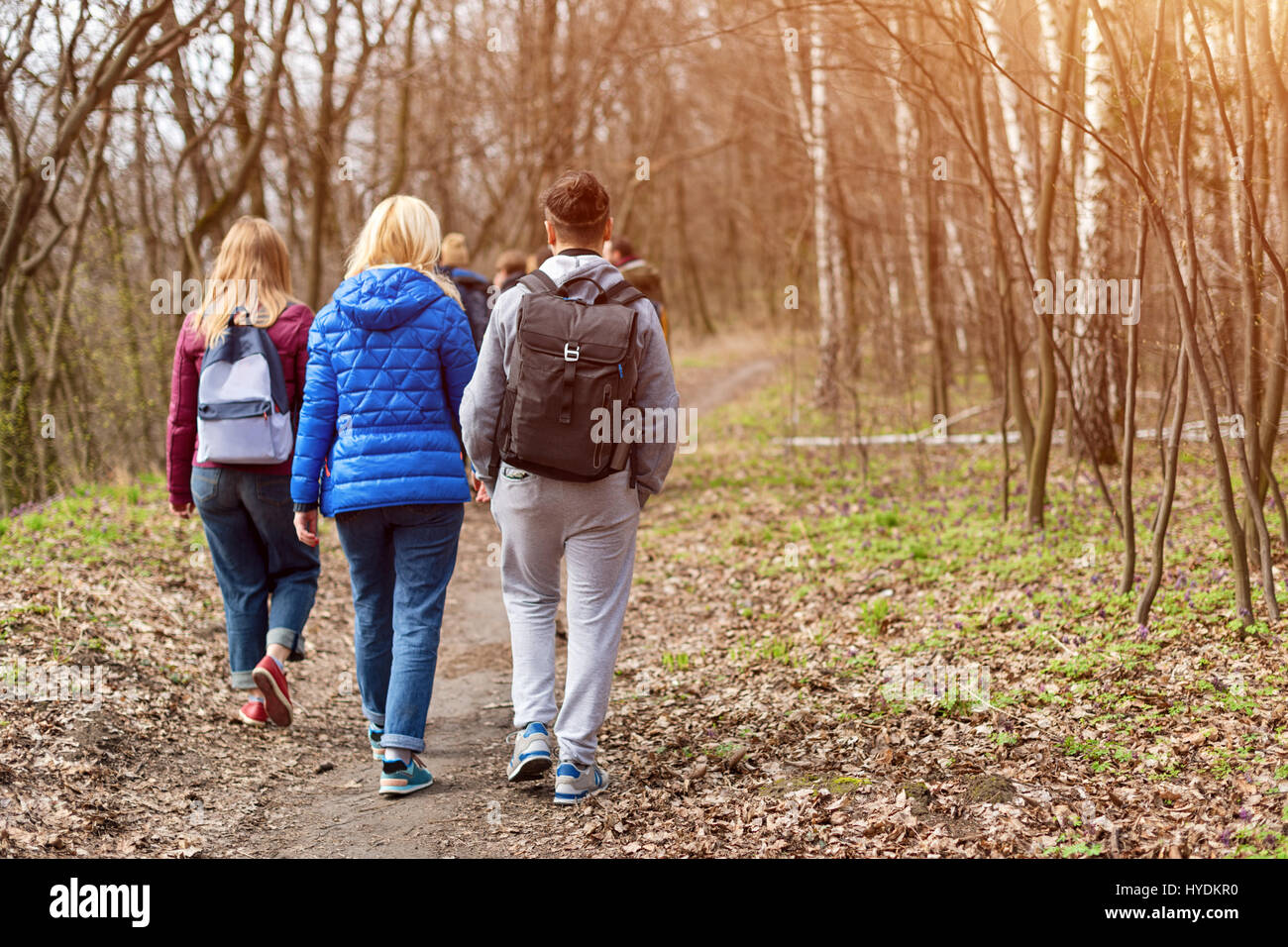 Group of friends walking with backpacks in spring forest from back ...