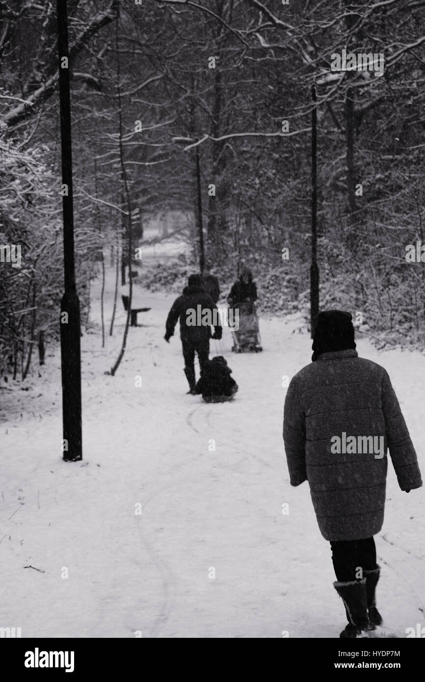 London, UK – Jan 20, 2013 : Black & White image of people enjoying a winter stroll in a heavy fall of snow on Wandsworth Common Stock Photo