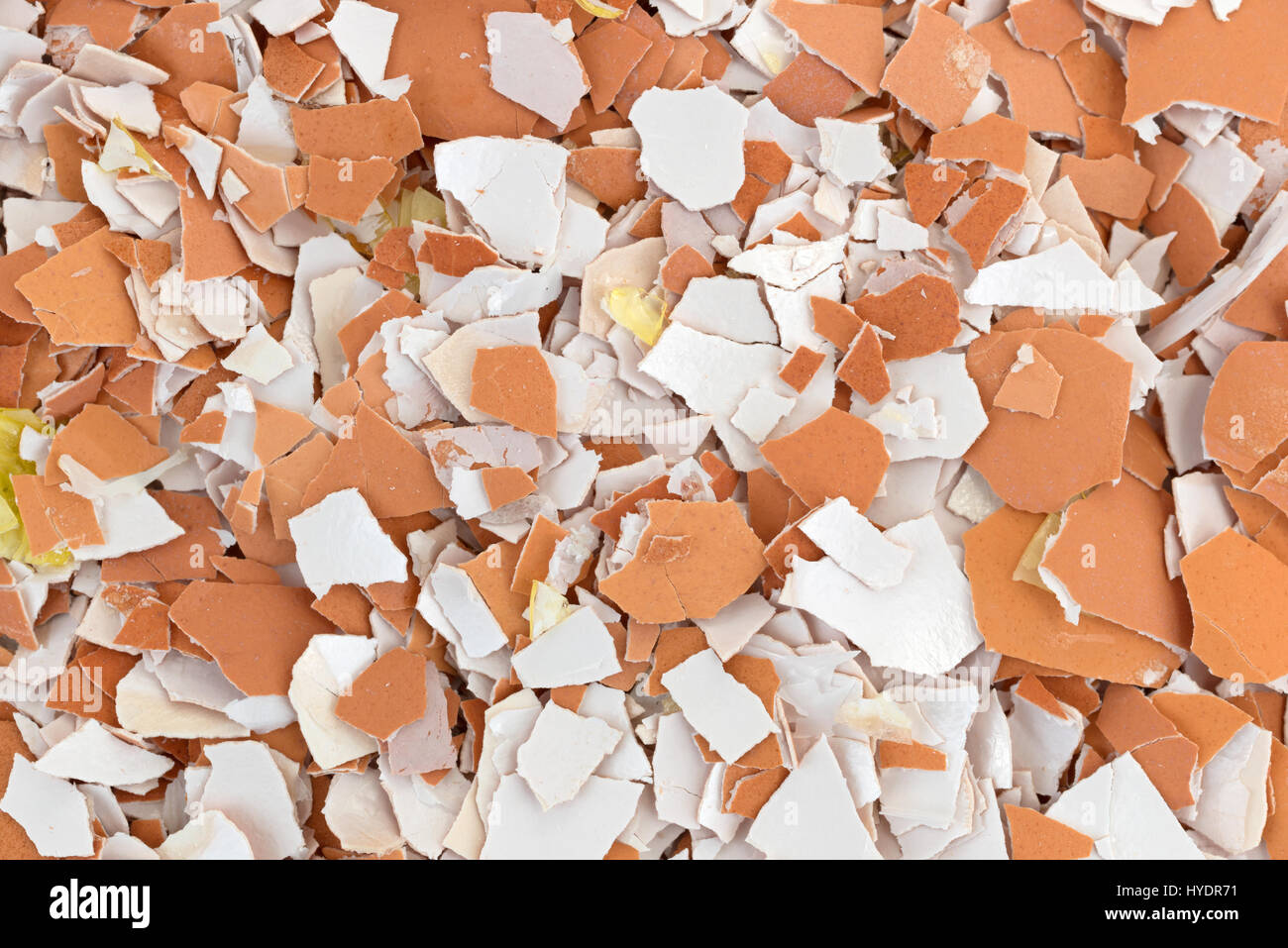 A very close view of crushed egg shells Stock Photo Alamy