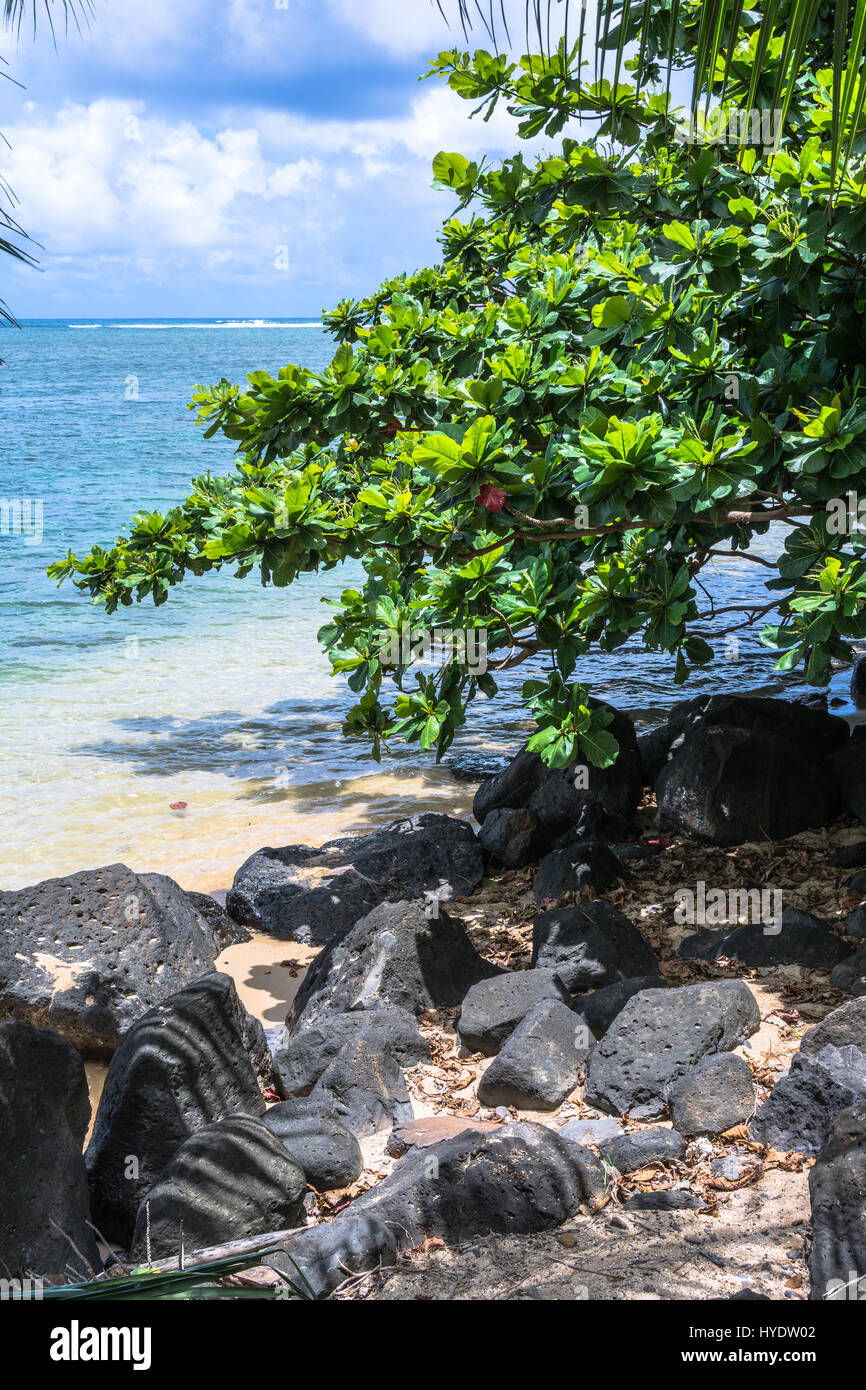View of the ocean at Kalihi Kai Park in Kauai, Hawaii Stock Photo Alamy