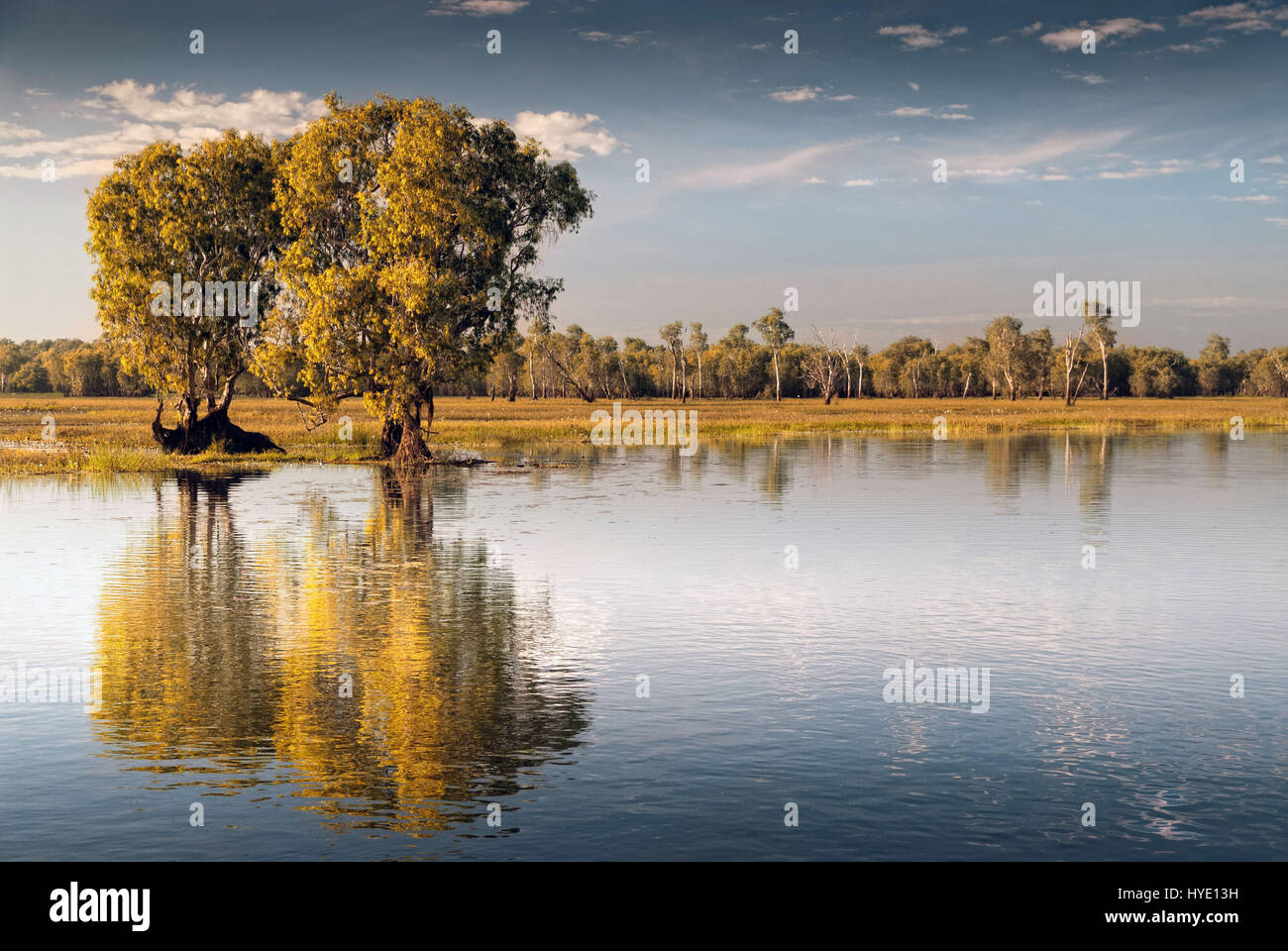 Sky reflected in the Kakadu wetlands in Kakadu National Park, Northern Territories, Australia Stock Photo