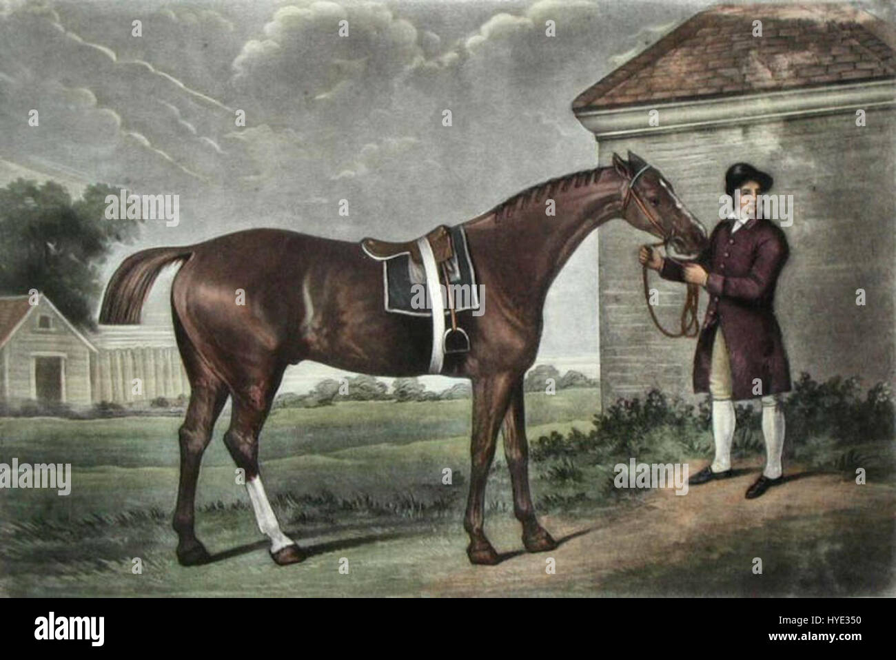 Eclipse horse painting hires stock photography and images Alamy