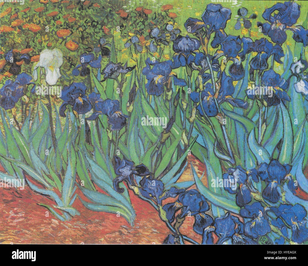 Vincent van gogh iris hires stock photography and images Alamy