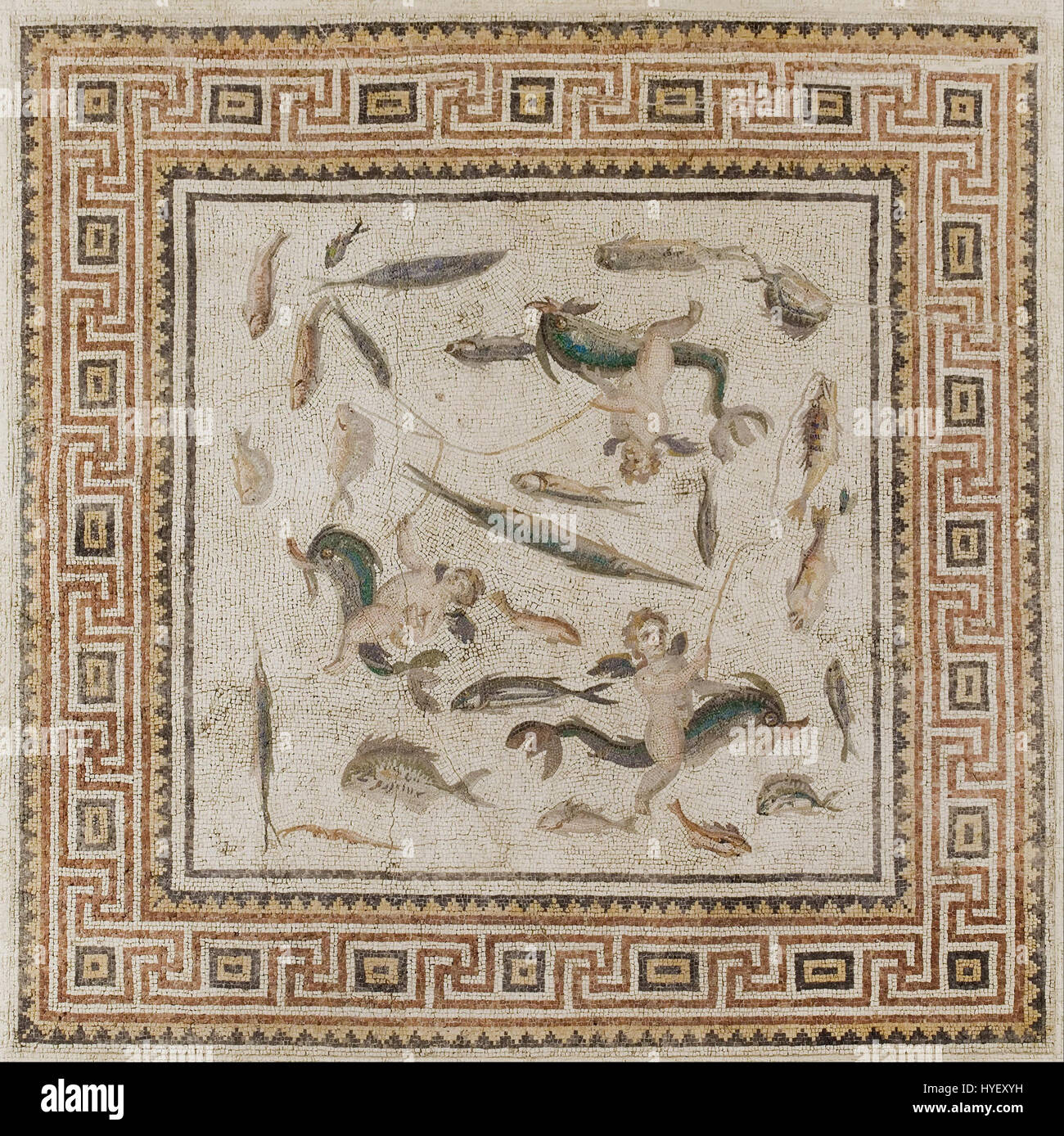 Roman mosaic fish hi-res stock photography and images - Alamy