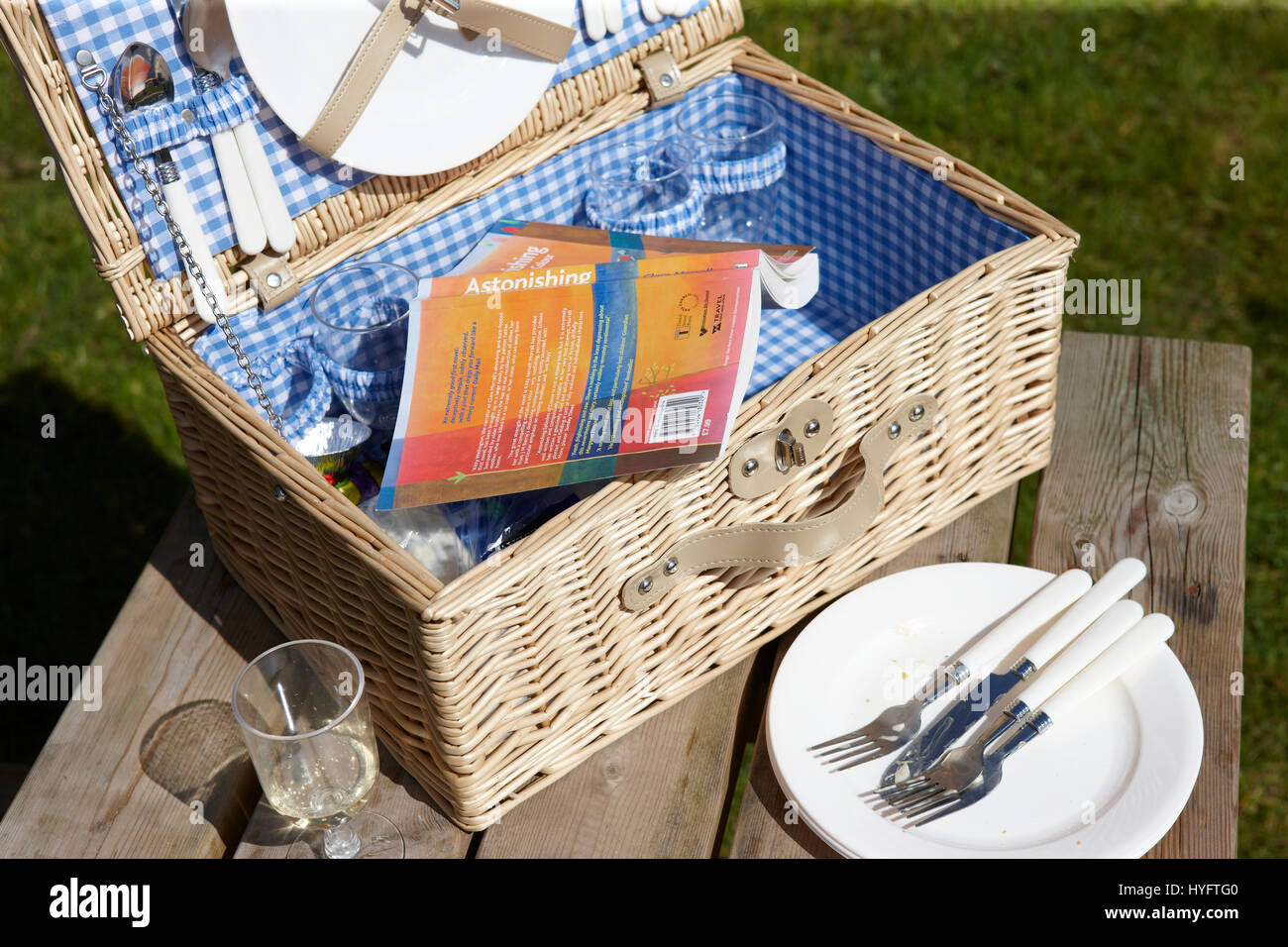 Orange book in a blue check wicker picnic basket, The Literary Festival, Laugharn, UK Stock Photo