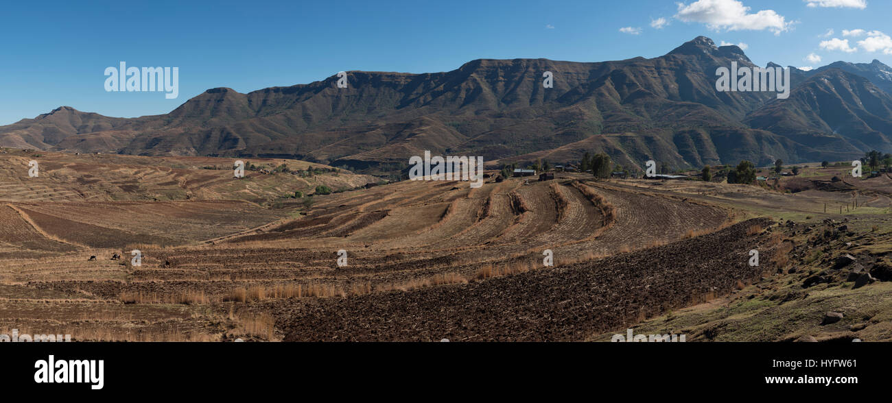 Agriculture along the Hololo river against a backdrop of Karoo basalts of the Maluti Mountains in northern Lesotho Stock Photo