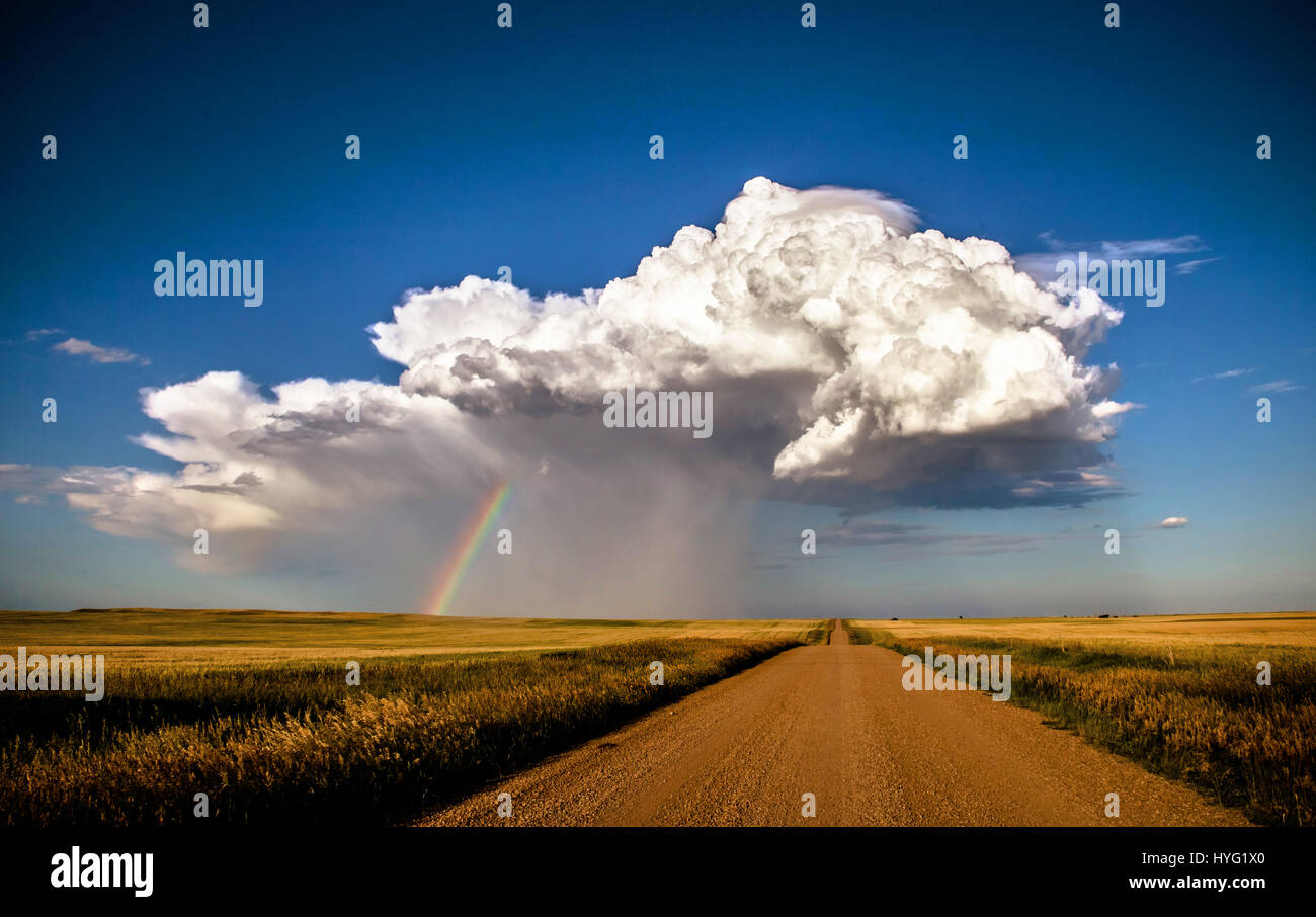 Самое сильное поле. Огромное облако. Большие облака. Кучевые облака над полем. Кучевые облака в поле.