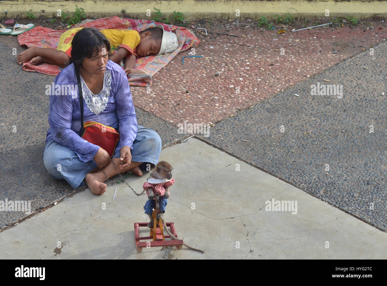 monkey rocking horse