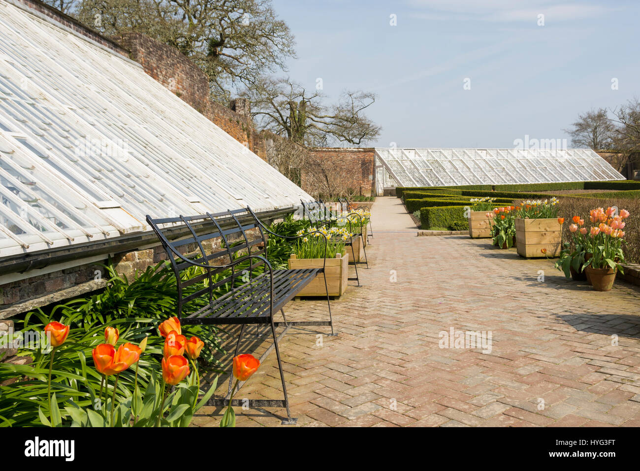 Greenhouses at the Lost Gardens of Heligan, Cornwall, UK Stock Photo Alamy