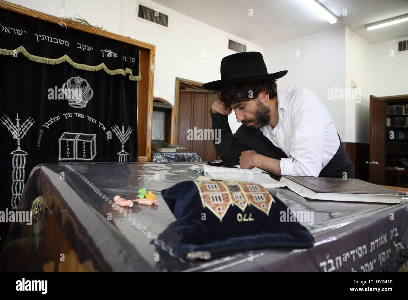 A devout Orthodox Jewish man, a Hasid learns Torah and Talmud in a synagogue, the Holy Ark is seen on his right in the back. Kfar Chabad, Israel. Stock Photo