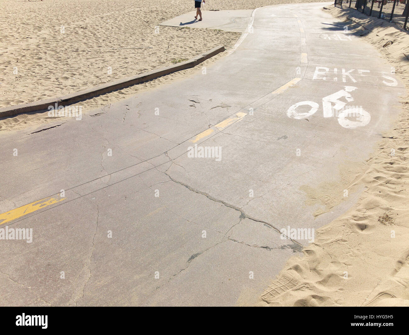 bicycle lane in venice beach California USA Stock Photo Alamy