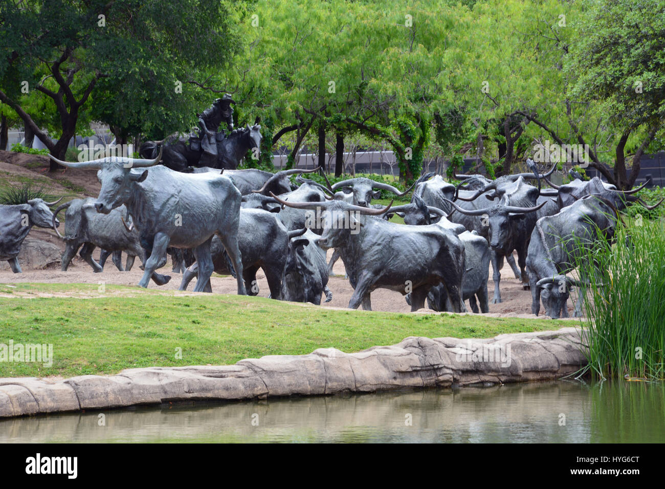 Multiple bronze statues form part of an old west cattle drive sculpture