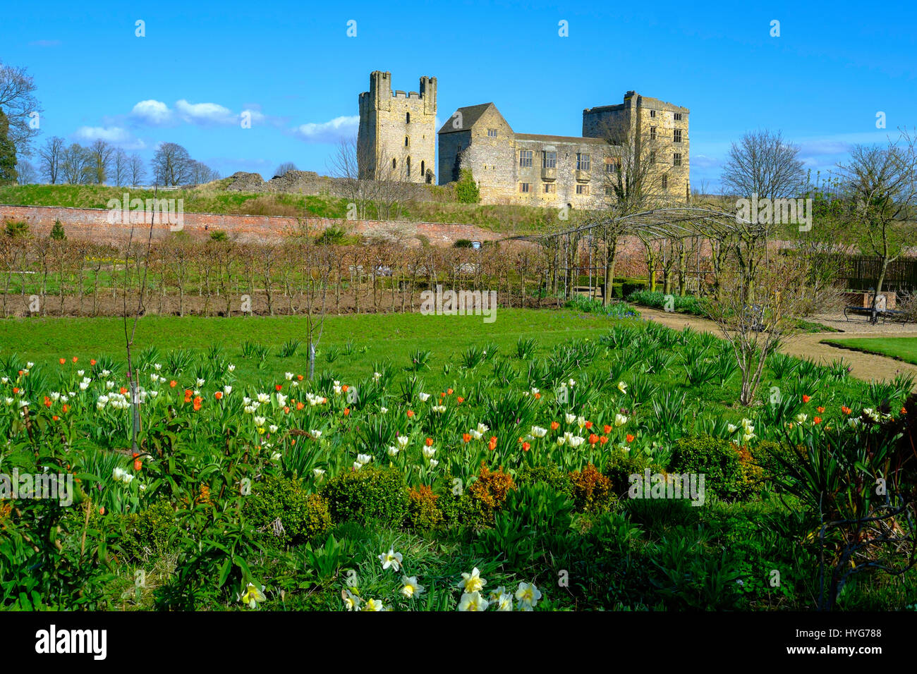 Helmsley Castle overlooking the Helmsley Walled Garden in early spring