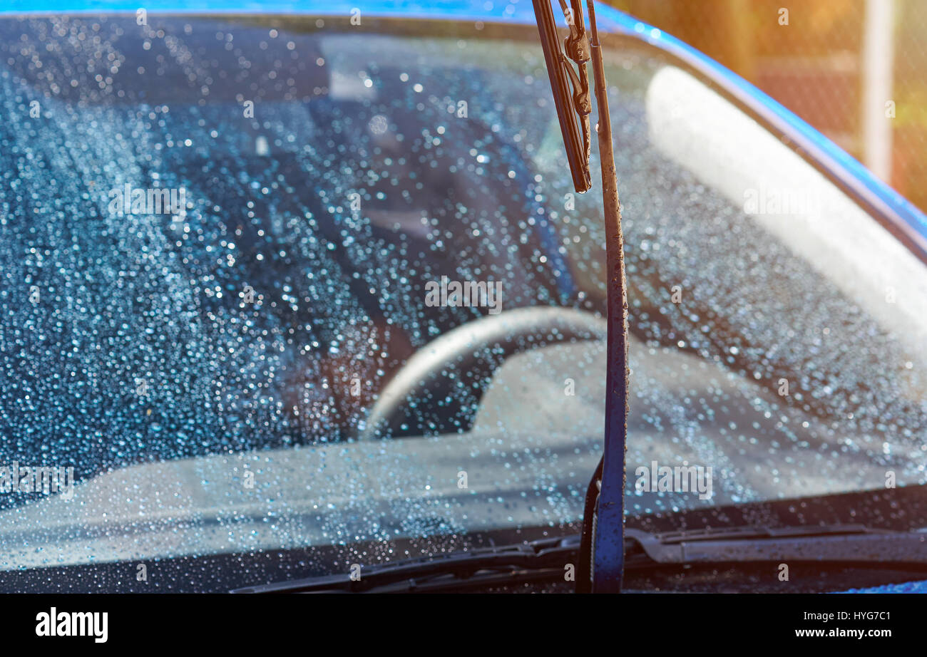 Car window cleaner close-up on blurred wet windshield background on sunny day Stock Photo