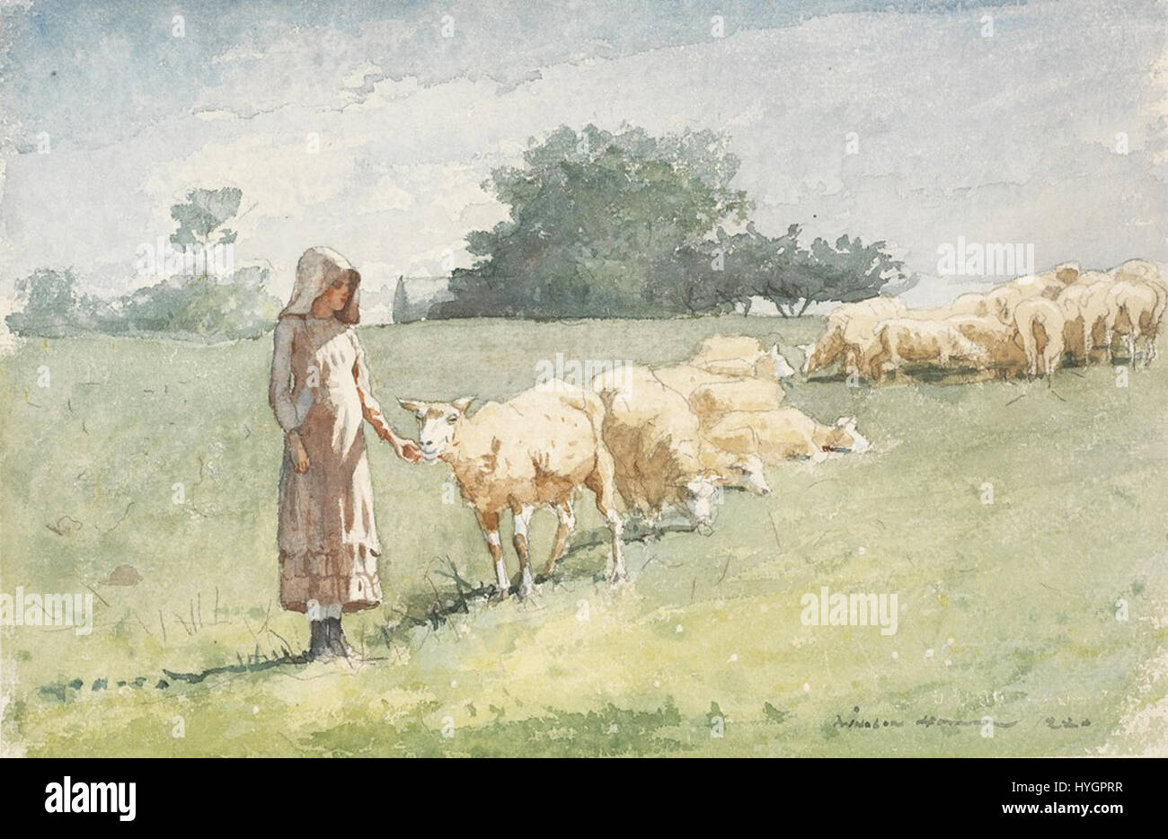 Winslow Homer Girl and Sheep (1880 Stock Photo Alamy
