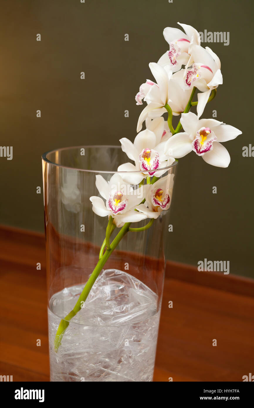 Orchid plant in glass vase hires stock photography and images Alamy