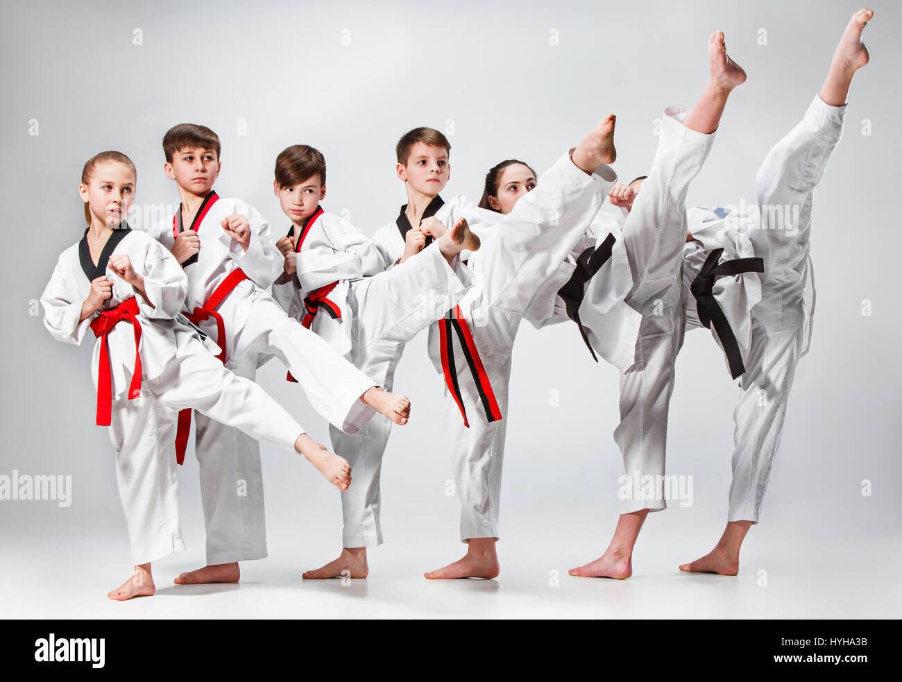 The Studio Shot Of Group Of Kids Training Karate Martial Arts Stock 