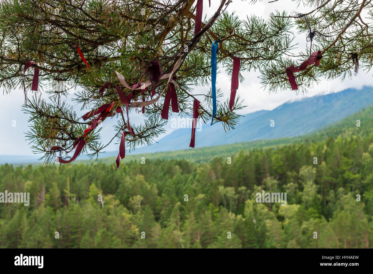 Resort Arshan, Buryatia: how to get to the sanatorium, reviews of treatment 87 Resort Arshan, Buryatia: how to get to the sanatorium, reviews of treatment 37
