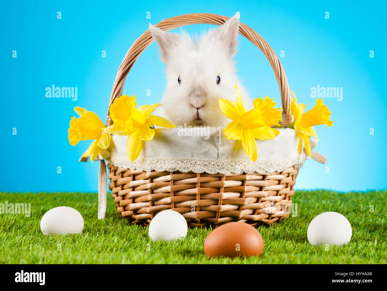 Cute Easter Bunny sitting in a wicker basket with colored eggs around ...