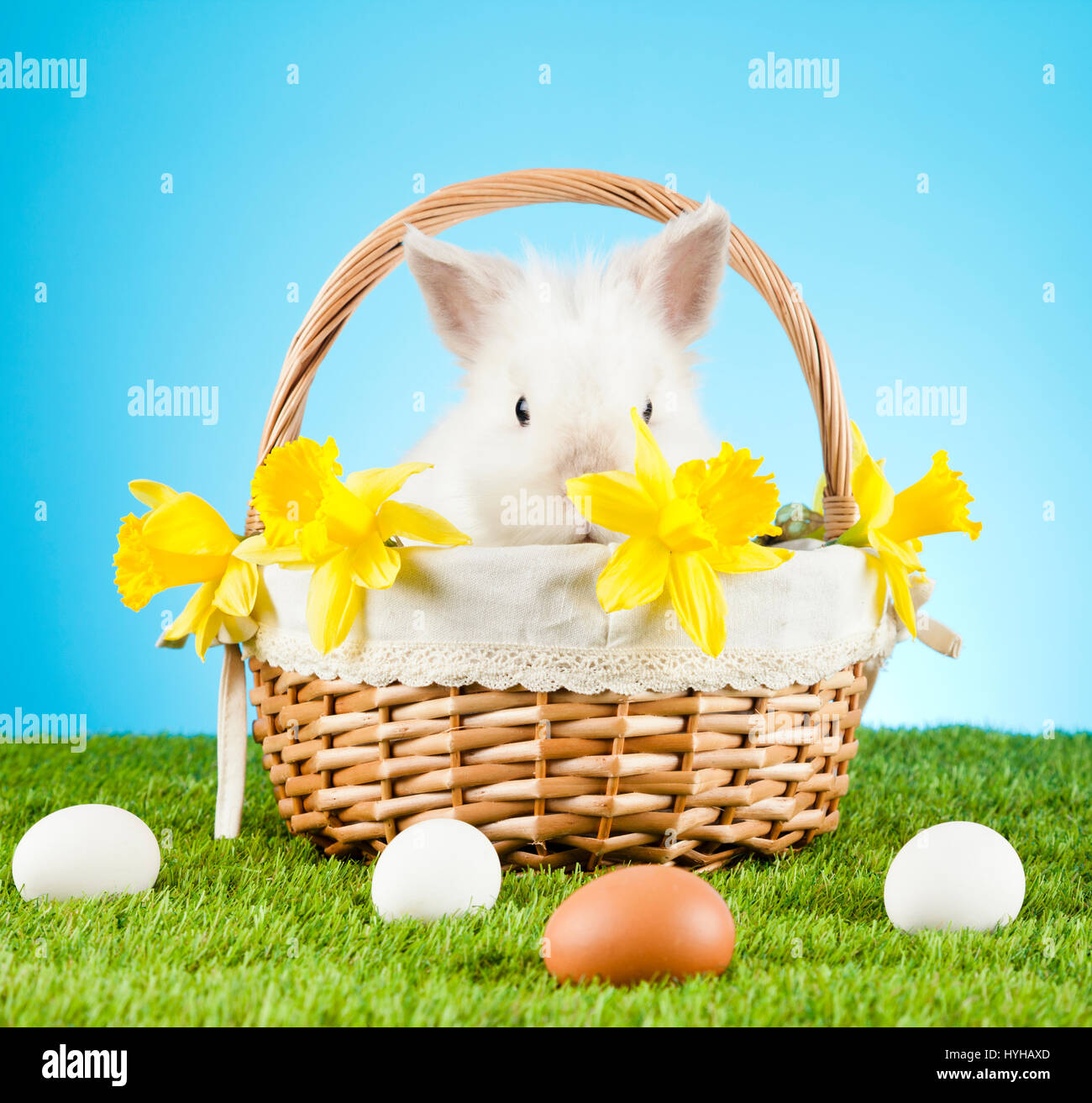 Cute Easter Bunny sitting in a wicker basket with colored eggs around ...