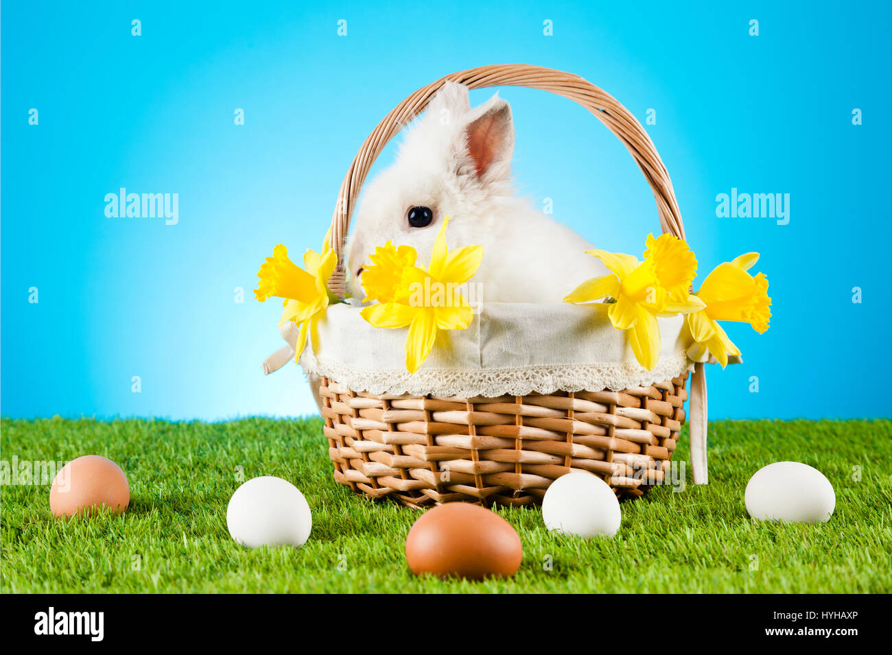 Cute Easter Bunny sitting in a wicker basket with colored eggs around ...