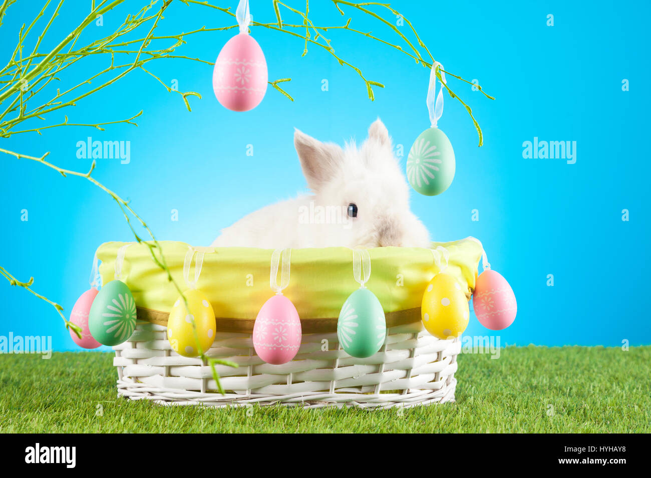 Cute Easter Bunny sitting in a wicker basket decorated with Easter eggs ...