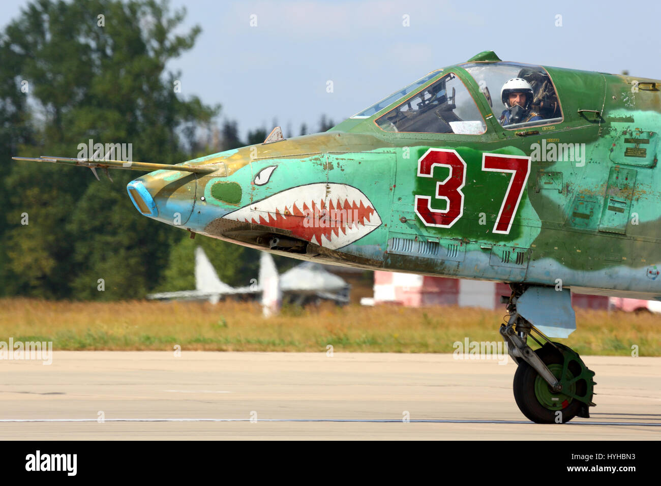KUBINKA, MOSCOW REGION, RUSSIA - AUGUST 7, 2014: Su-25 37 RED taxiing at Kubinka air force base. Stock Photo