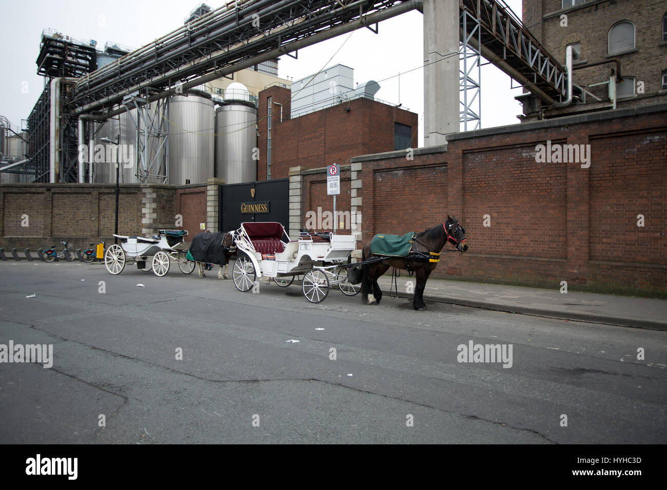 Horse and carriage outside Guinness factory in Dublin city, Ireland. Stock Photo