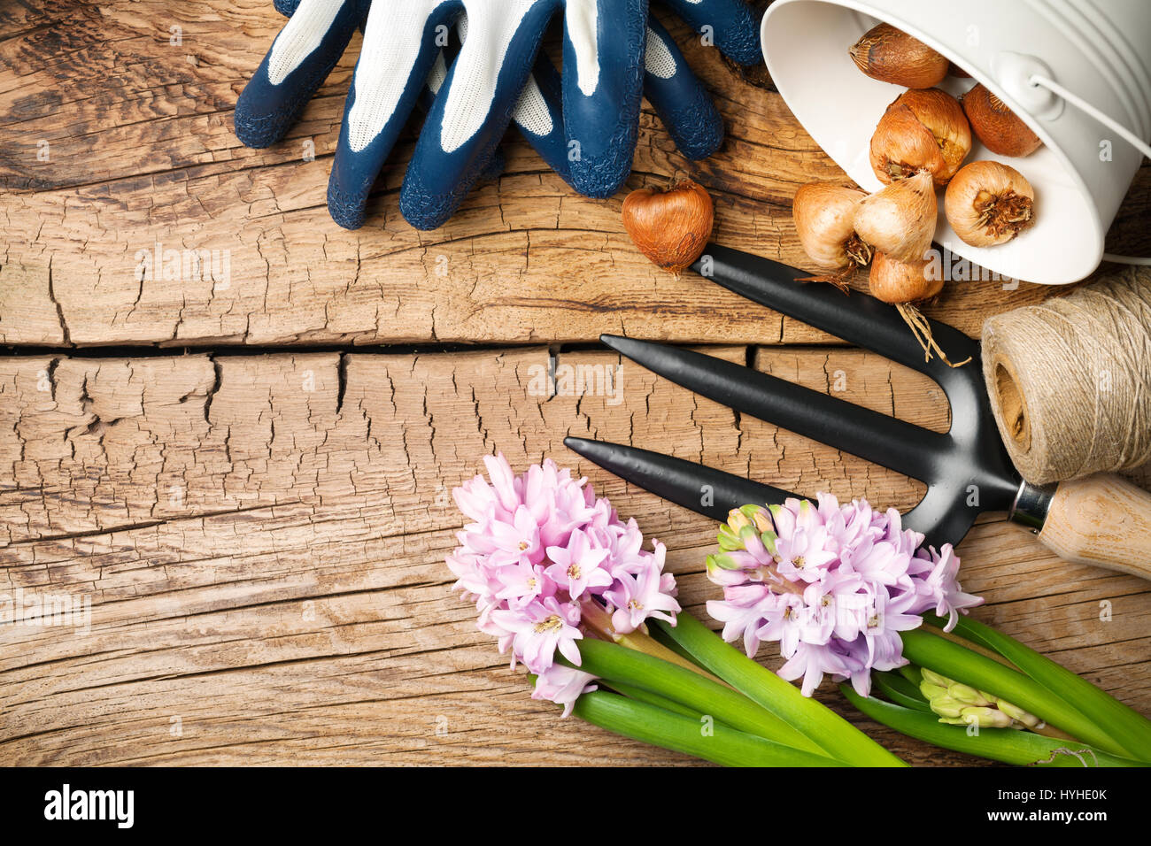 Gardening tools with flowers and bulbs on wood background. Copy space. Top view Stock Photo